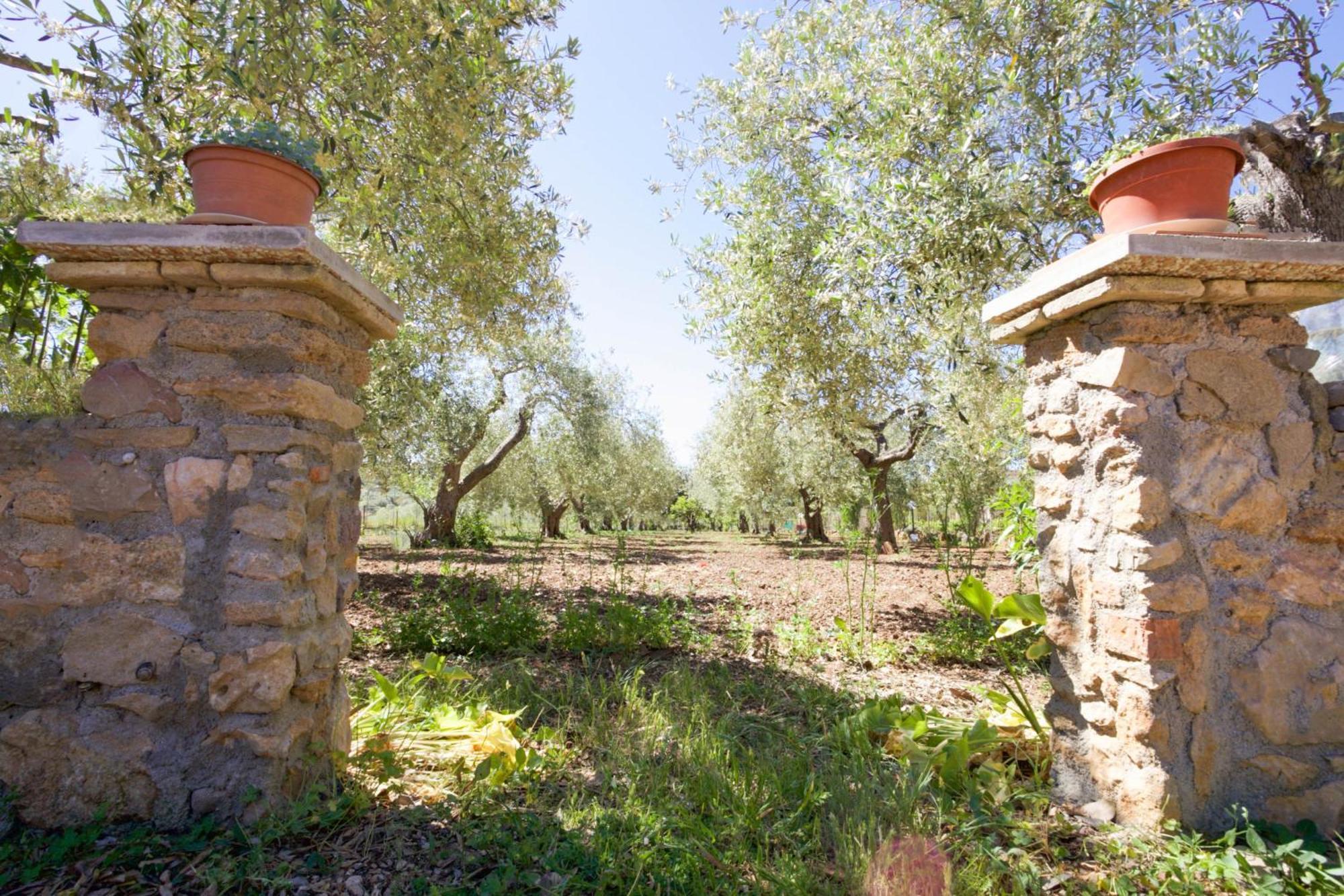 Villa Pedra Moro Alguer Exterior foto